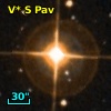 V* S Pav
