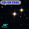 CD-59  7341