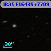 IRAS F16438+7709