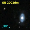 SN 2002dm