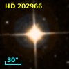 HD 202966