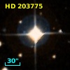 HD 203775
