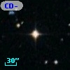 CD-49 13519
