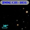 [EM96] COS-1031