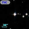 TYC 8428-511-1