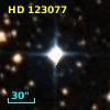 HD 123077