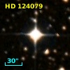 HD 124079