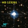 HD 123291