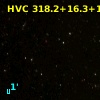 HVC 318.2+16.3+132