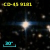 CD-45  9181
