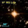 V* RS Lup