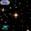 TYC 8277-2261-1