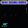 IRAS 16506+8004