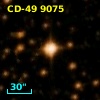 CD-49  9075