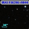 IRAS F16286+8044