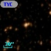 TYC 8288-802-1