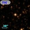 TYC 8292-743-1