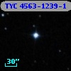 TYC 4563-1239-1