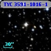 TYC 3591-1016-1