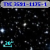 TYC 3591-1175-1