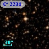 C* 2231