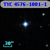 TYC 4576-1001-1
