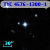 TYC 4576-1300-1