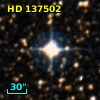 HD 137502