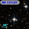 HD 137197
