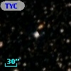 TYC 8704-736-1