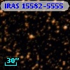 IRAS 15582-5555