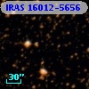 IRAS 16012-5656