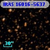 IRAS 16016-5637
