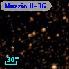 Muzzio   II-36