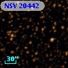NSV 20442