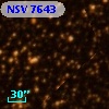 NSV  7643