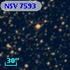 NSV  7593