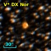 V* DX Nor