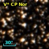 V* CP Nor