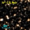 V* CG Nor