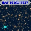 IRAS 16161-5637