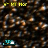 V* MT Nor
