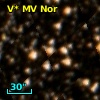V* MV Nor