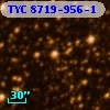 TYC 8719-956-1