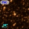 TYC 8723-1681-1