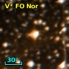 V* FO Nor