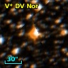 V* DV Nor