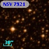NSV  7921