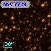 NSV  7729