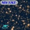 NSV  7767
